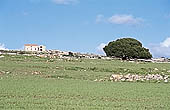 Sicily, the Iblei landscape 